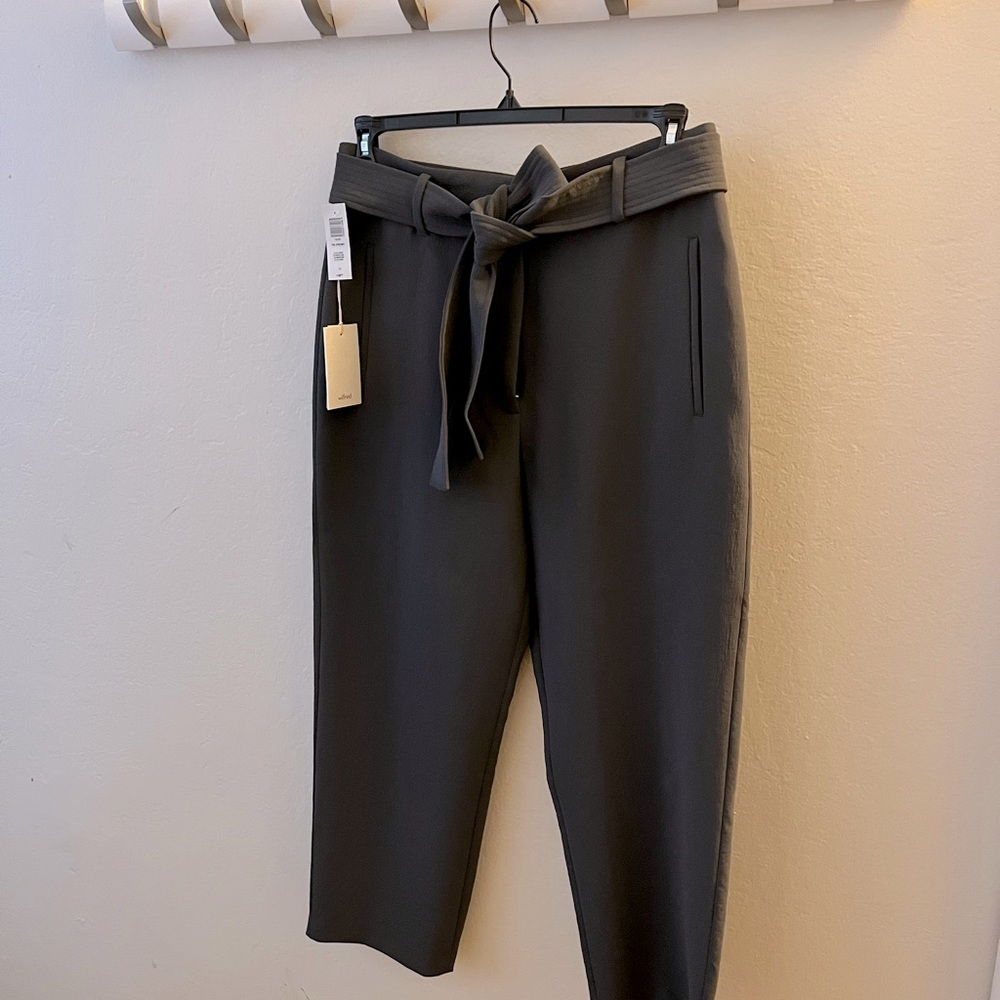 Aritzia pants